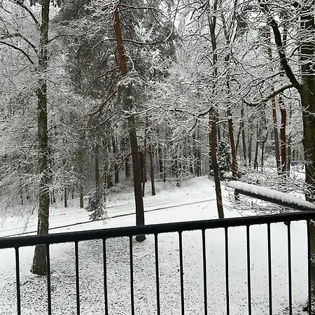 Pod Swierkiem Lejlighed *