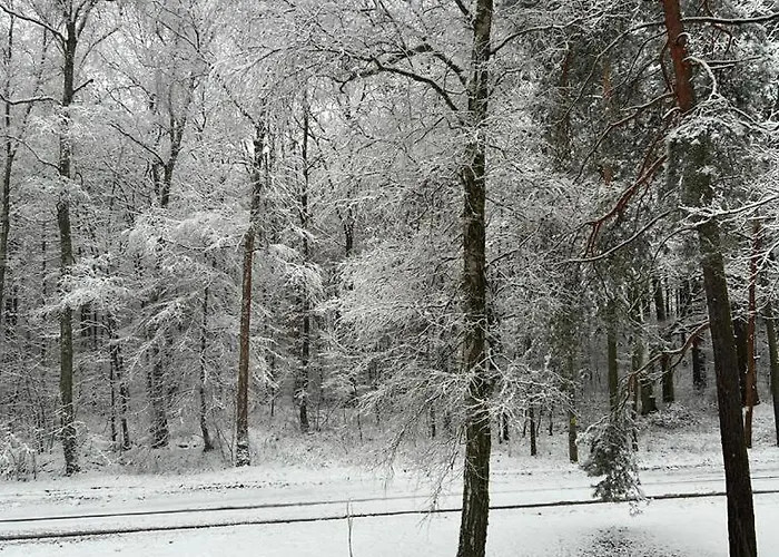 Pod Swierkiem Krupski Mlyn